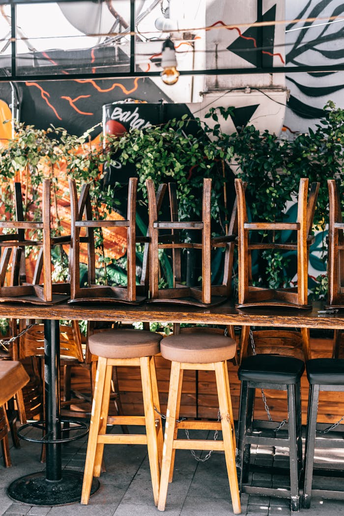 Chairs placed on table near green plants and glass wall on veranda of modern outdoor cafeteria on street in city